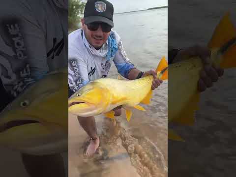 Pousada puerto paraíso empedrado Corrientes #pesca #lancha #lineadepesca #podcast