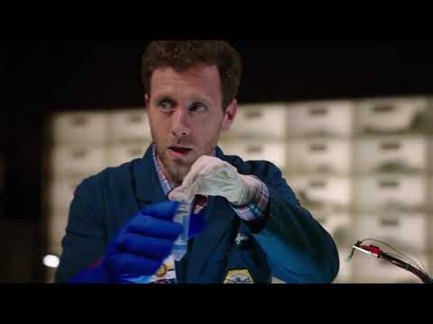Bones - Angela y Hodgins (9x24)