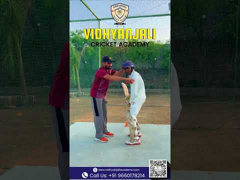 Video Gallery