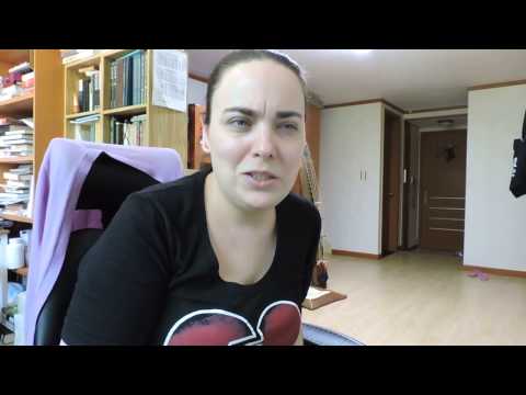 Dream concert 2015 vlog