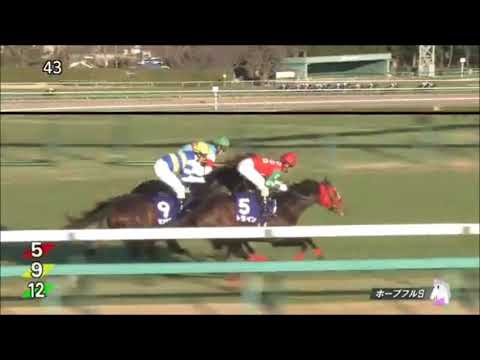 ホープフルステークス2017