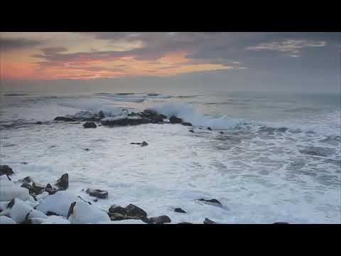 ANDRÉ LUIZ ANICETO OFICIAL , CCB   //  CD COMPLETO