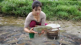 Amazing Fishing | Fishing Technique | Smart Girl's Unique Fishing Skills Catch Big Fish