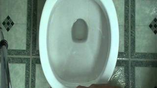 Toilet not flushing properly.Auger and plunger don&#39;t make a difference. Few tips will help!