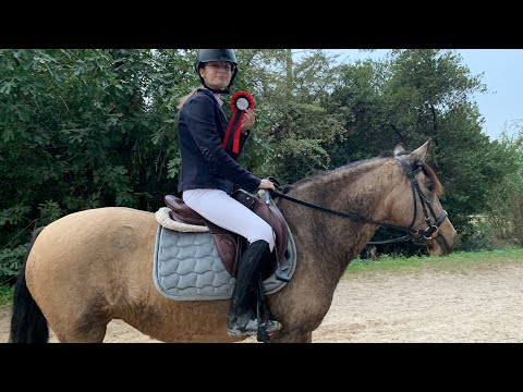 Vlog CSO je suis classée ??