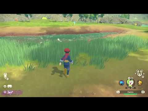 Shiny Ponyta 100% guaranteed || Shiny Hunting || Pokémon Legends Arceus