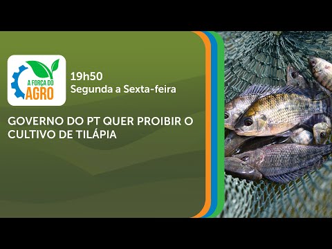 A Força do Agro, com Joice Maffezzolli - Governo do PT quer proibir o cultivo de tilápia