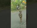 Video Lucu Terbaru Dijamin Bikin Ketawa Ngakak Short Shorts Viral Lucu Ngakak Asupanmeme