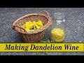 How to Make Dandelion Wine