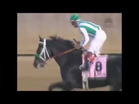 Preakness Stakes 2002 - War Emblem