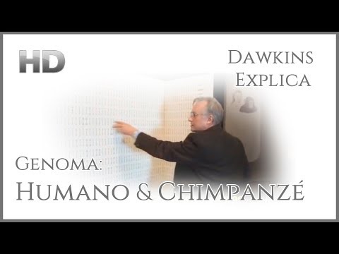 DAWKINS Explica - Genoma: Humano & Chimpanzé (Legendado)