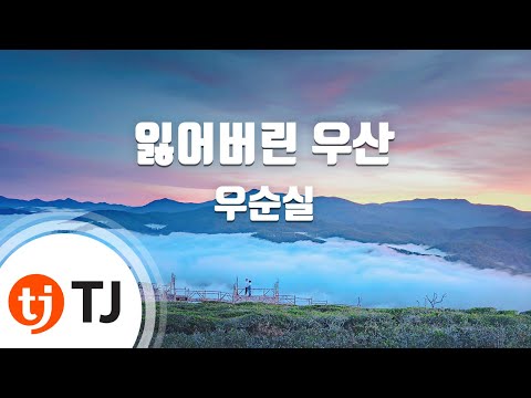 [TJ노래방] 잃어버린우산 - 우순실(Woo, Soon - Sil) / TJ Karaoke