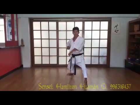 Uraken,Shuto Gedan Barai