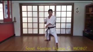 Uraken,Shuto Gedan Barai
