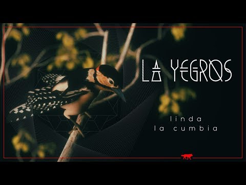 La Yegros - Linda La Cumbia (Official Video)