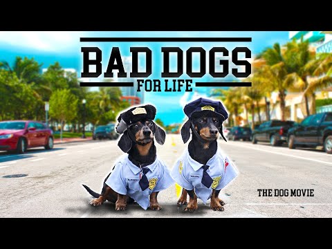 Ep 42: BAD DOGS FOR LIFE — Wiener Dog Bad Boys Movie