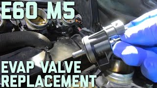 BMW E60 M5 Evap Valve Replacement  #bmwe60m5 #BMWS85