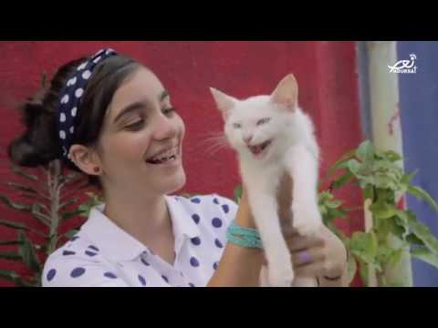 Christa Maria Abou Akl - Endi bisi كريستا ماريا ابو عقل - عندي بيسي