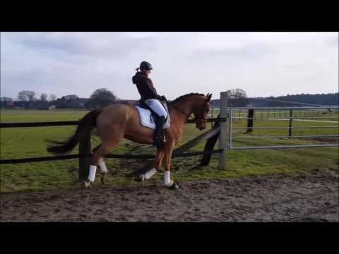 Vilan. *2011; Vivaldi X Hotline