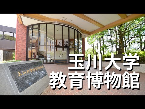 玉川大学教育博物館　常設展示をご紹介！