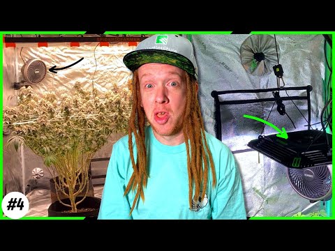🥦7 Essential Grow Tent Setup Tips