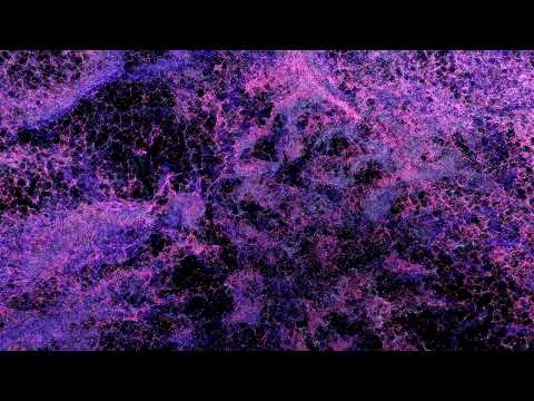 Maxi Meraki & Orsay - Amado