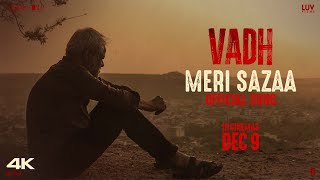 Meri Sazaa thumbnail