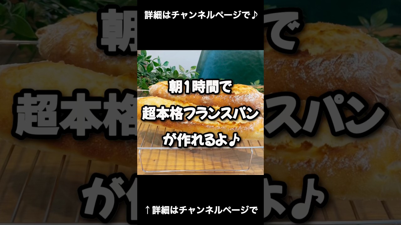 クープが開く！気泡ボコボコ！１時間で本格フランスパン♪ 「VOICEVOX:ずんだもん」 #こねないパン #パン #フランスパン パン