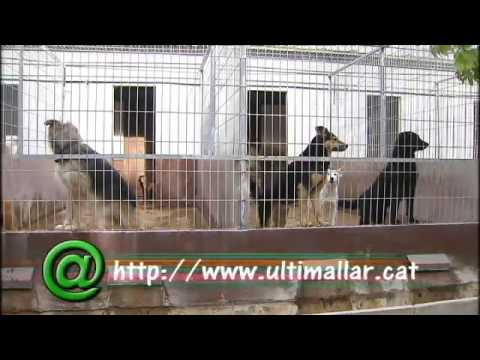 Info K Taller de Civisme a l´Últimallar