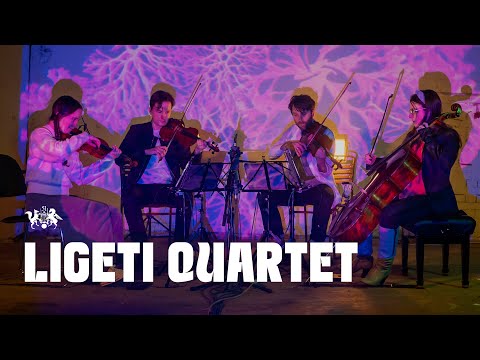 Ligeti Quartet live at The state51 Factory