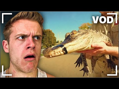 Joe Bartolozzi | Reacts Day #264