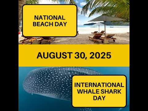 National Beach Day & International Whale Shark Day