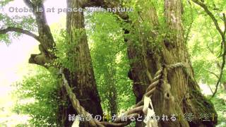 preview picture of video 'Enkatsura forest park. Otobe is at peace with nature.'