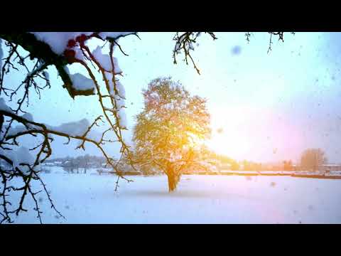 O, ce veste minunată! |Lucy Nechifor ~Gabriela Lixandru & Gabriela Chilom | Video 4k