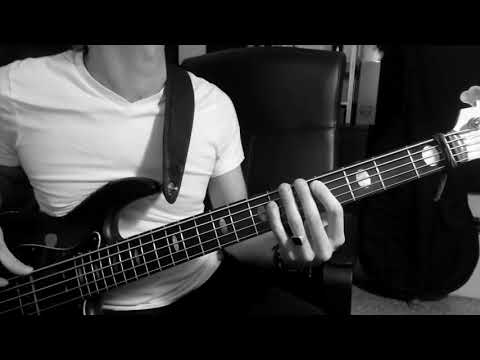 Meridian Jazz Evolution Carbon