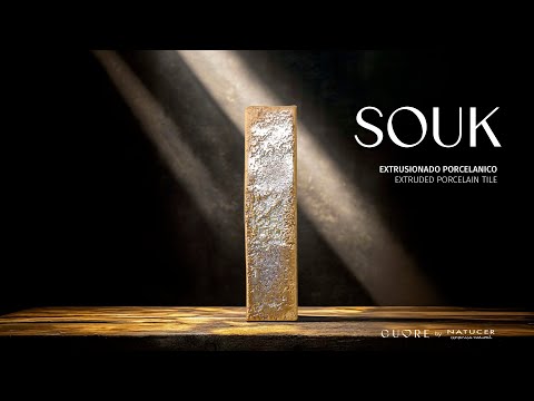 Imagen representativa video