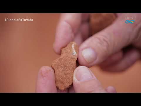 download lagu mp3 mp4 Ingentia Prima, download lagu Ingentia Prima gratis, unduh video klip Ingentia Prima