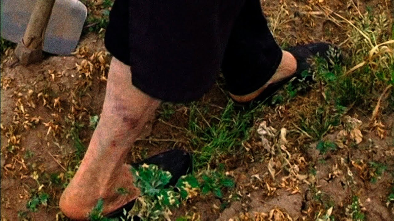 Striking Land (Terra que marca) | Trailer | Berlinale 2022