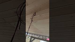 Download lagu #song #bollywoodcoversongs #funny #funnymusic mp3