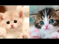Moj Videos And Share Chat Video