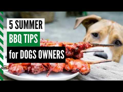 5 Summer BBQ Tips for Dog Owners