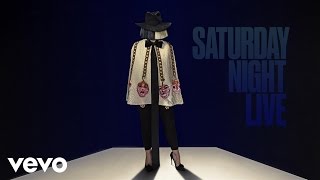 Sia - Bird Set Free (Live From SNL)