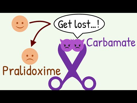 Pralidoxime Iodide Injection