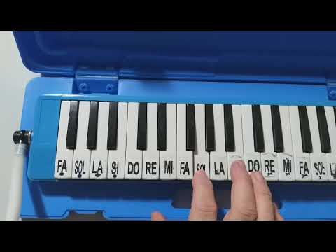 ANUNCIAÇÃO NA ESCALETA.