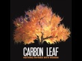 Carbon Leaf - What Have You Learned?