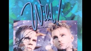 Erasure Heavenly Action ~ Wild! Tour (audio)