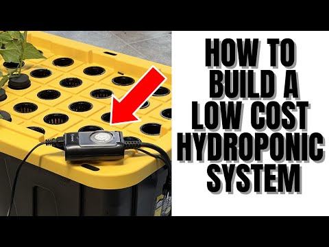 How To Build A Low Cost Hydroponic/Aeroponic System For Beginners