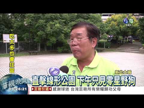 PO公園野狗影片 游錫堃掀筆戰