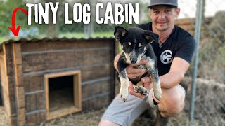 We built a TINY LOG CABIN for our new PUPPY!