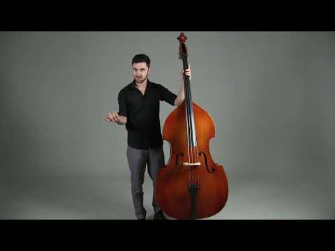 Harp Harmonics on the Double Bass with Andrew Ryan